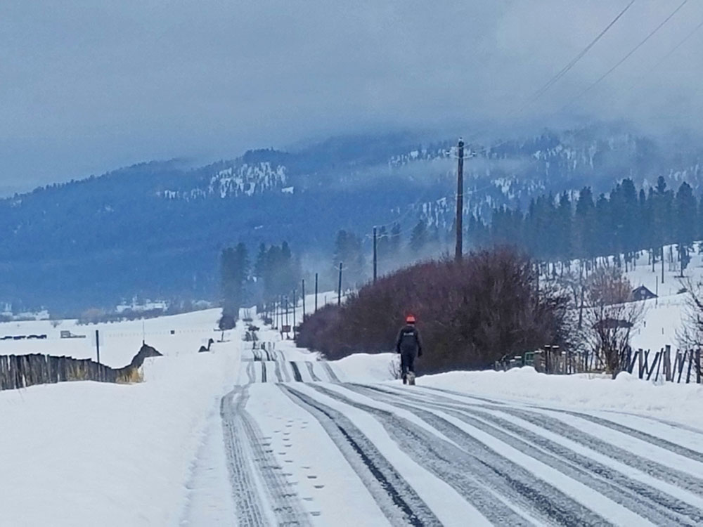 old man walking with dog
