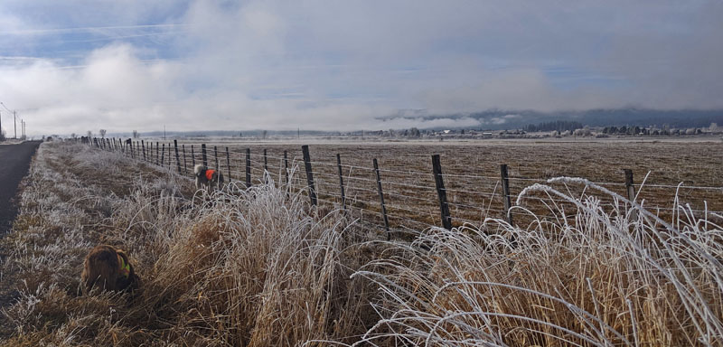 country road and pasture