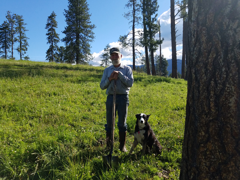 man and dog in pasture