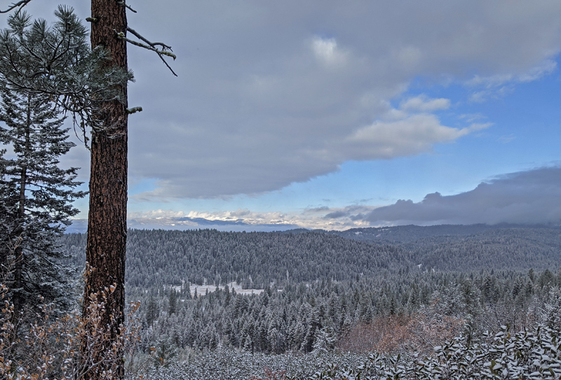 view of trees and mountains