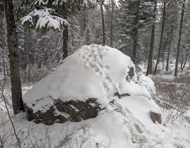 snow-covered boulder