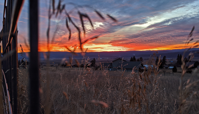 sunset through fence