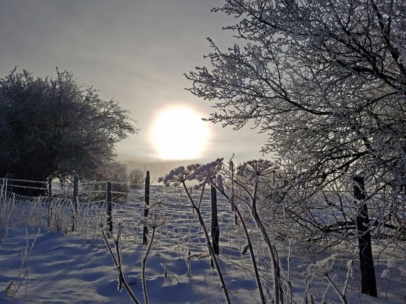 sun, fog, frost