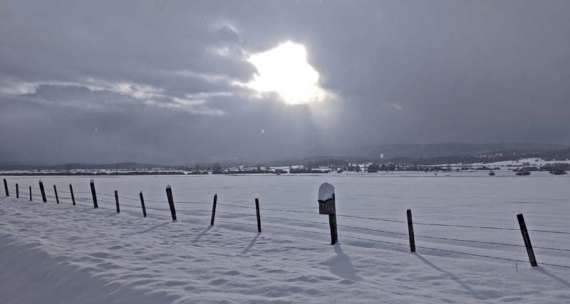 snow and fence