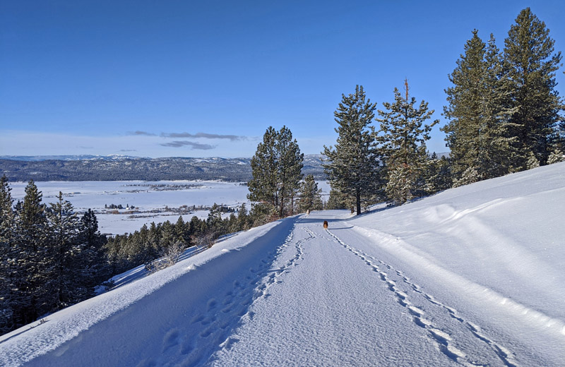 tracks on snowy road
