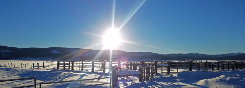 fences and gates in snow