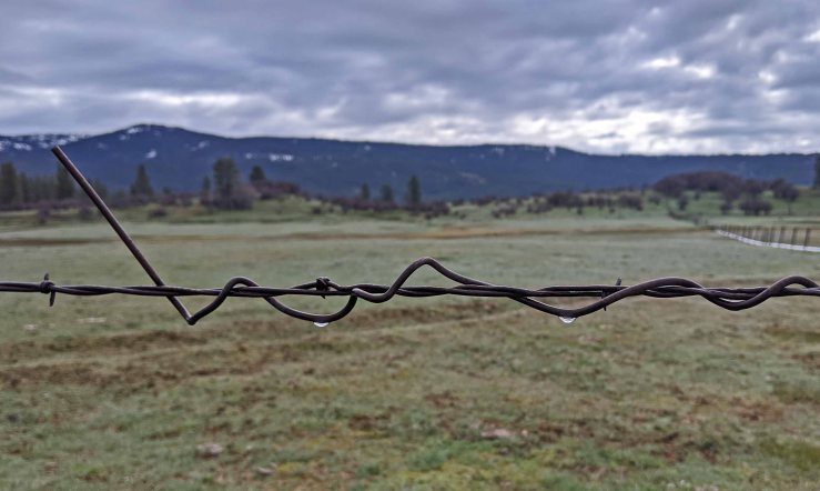 rain drops on wire fence