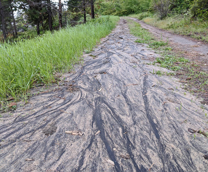 dirt road with pollen