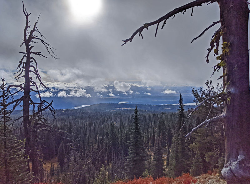 trees, lakes, mountains