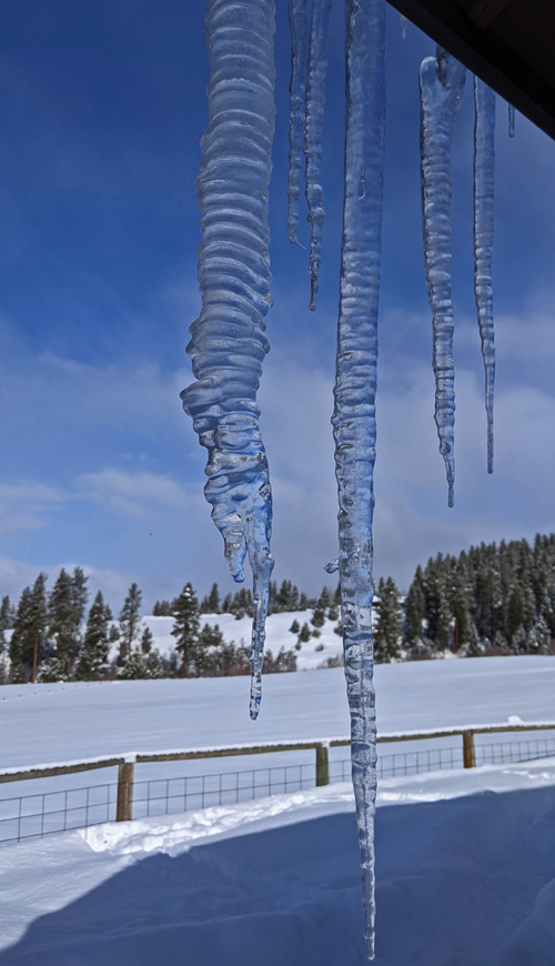 icicles molded by cycles of warm and cold