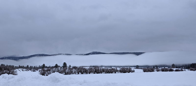fog, snow, landscape