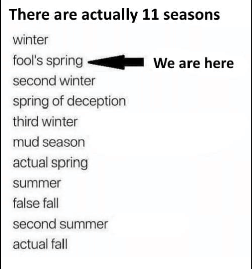 meme - eleven seaons