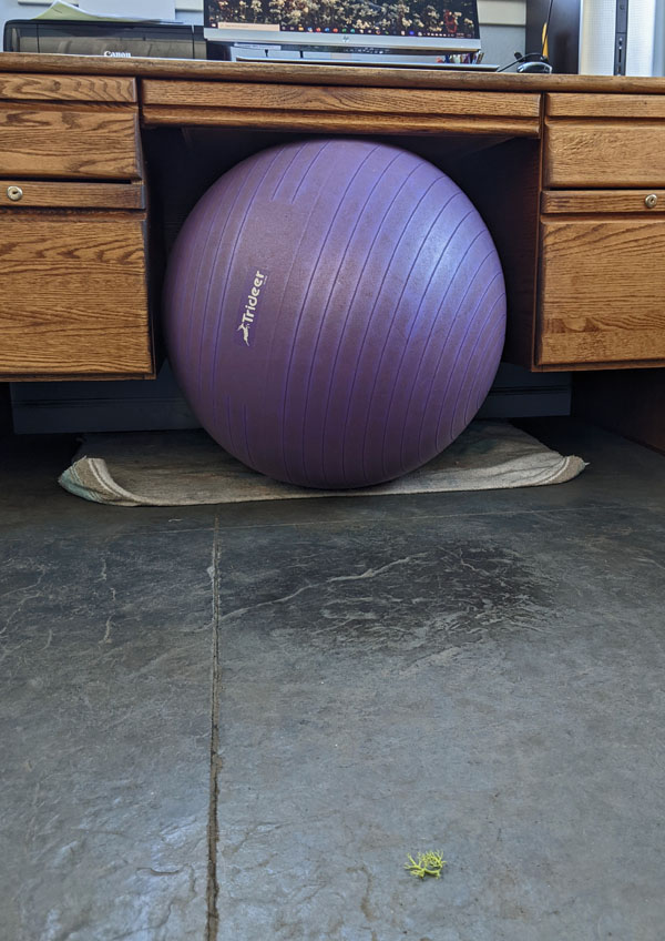 green lichen on floor behind desk