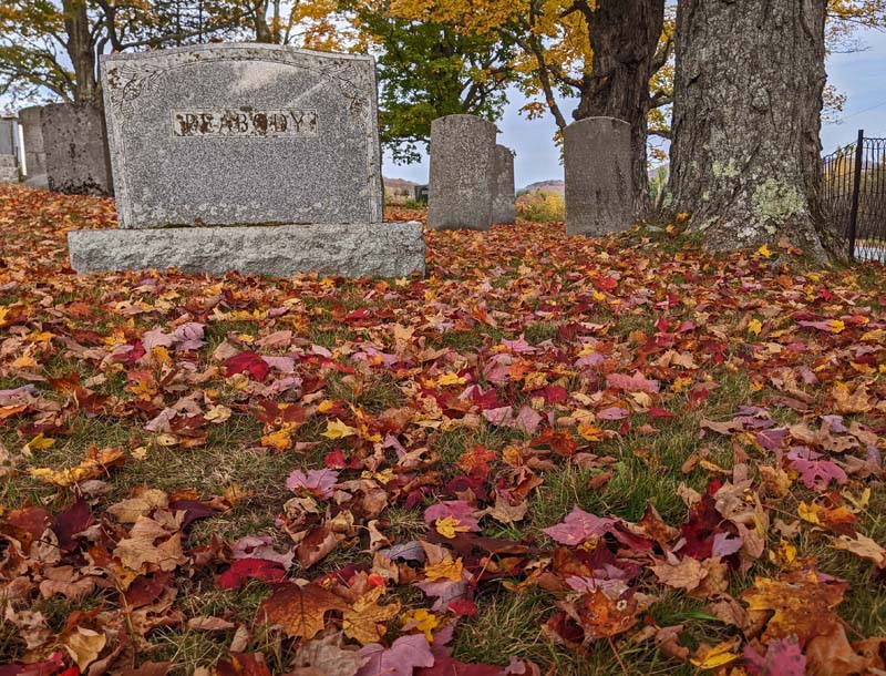 red and orange maple leaves on ground cemetery, near headstones