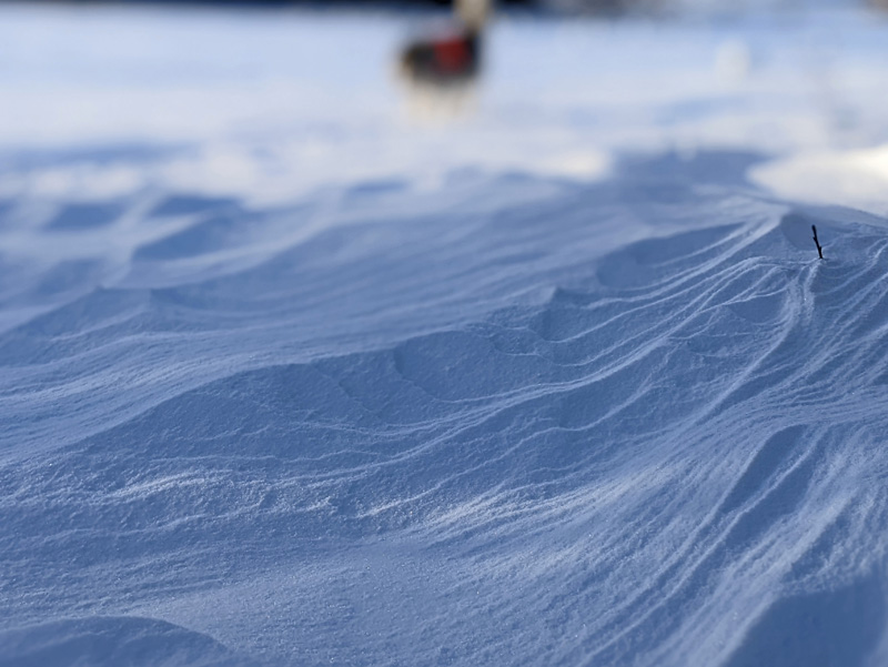 windblown snow closeup