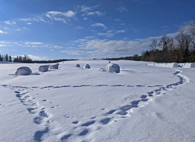 Snowshoe tracks in field with plastic-covered hay bales.