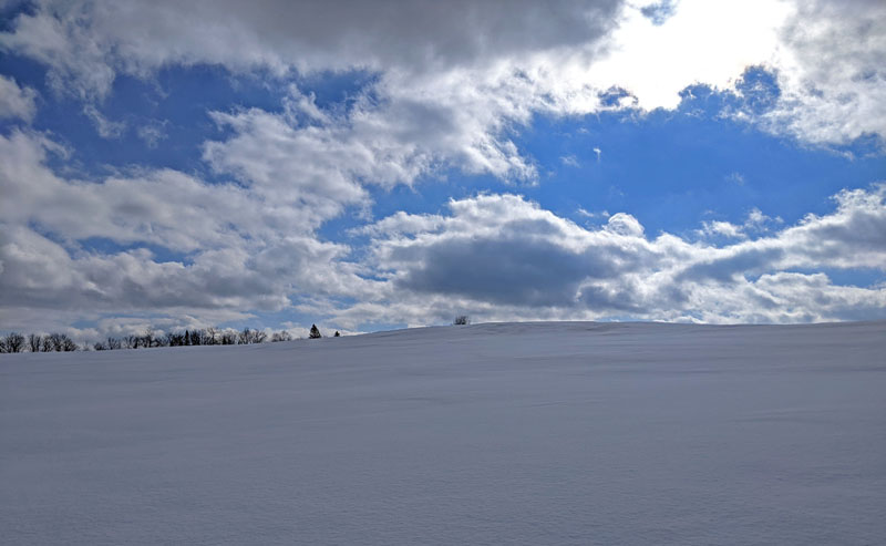 snow-covered knoll, trees in distance