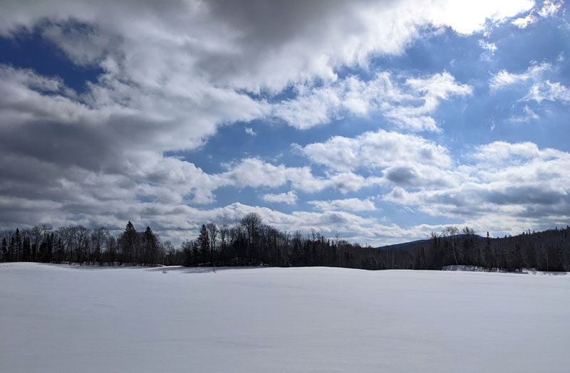 snow-covered field with trees in distance