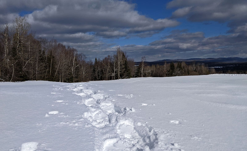 deep snowshoe tracks