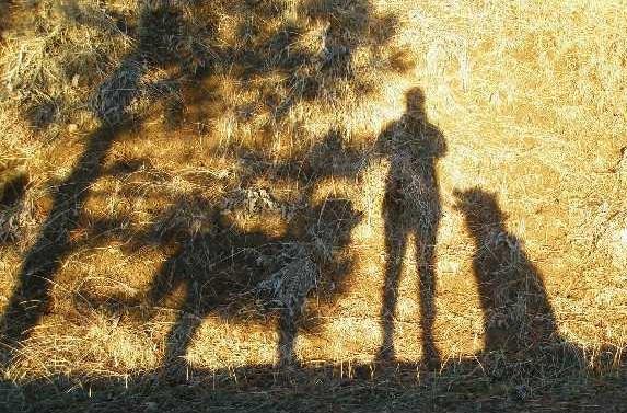 shadow of two dogs and photographer against a grass-covered hillside in 2008
