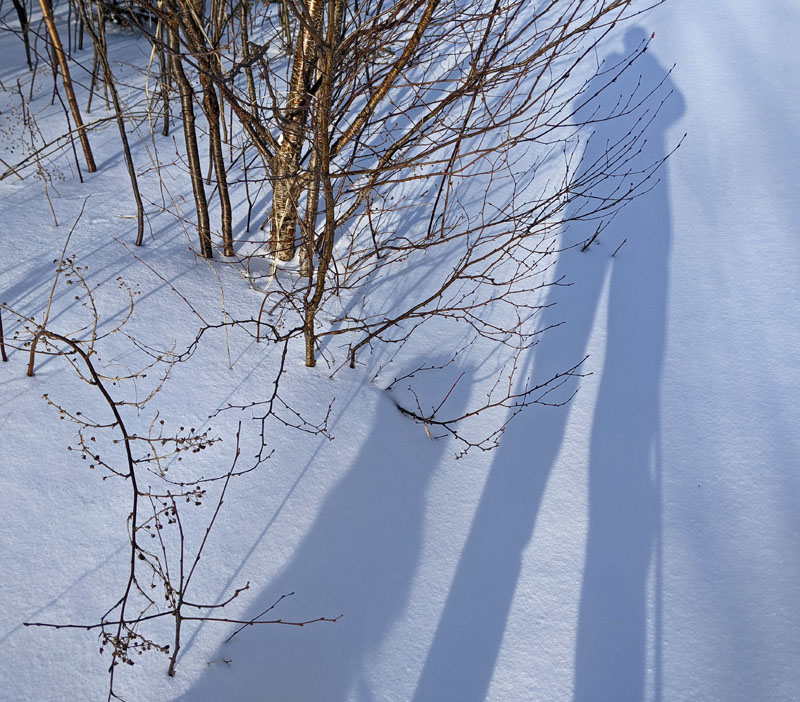 shadows of dog and photographer against snow