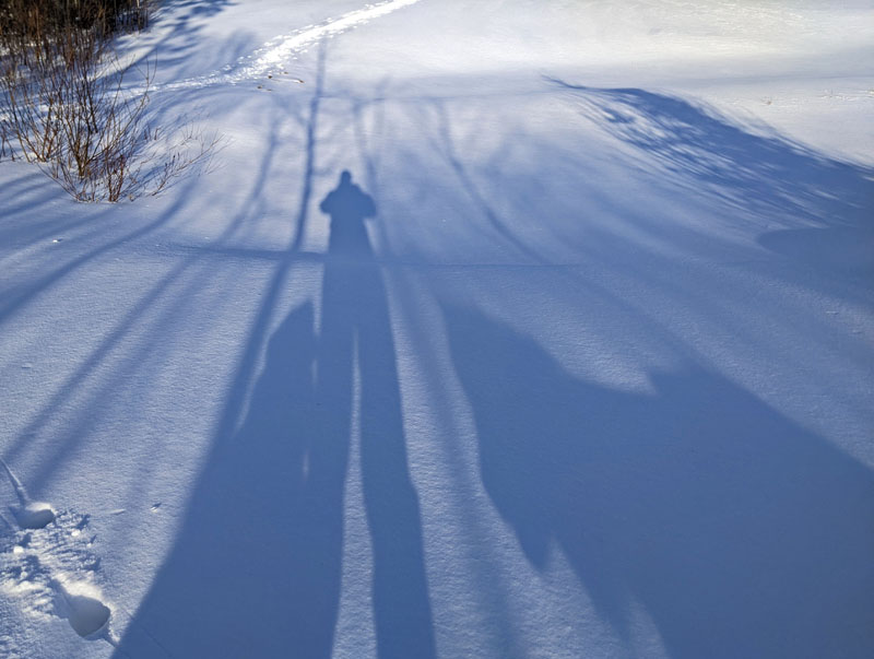 shadows of photographer and two dogs against snow