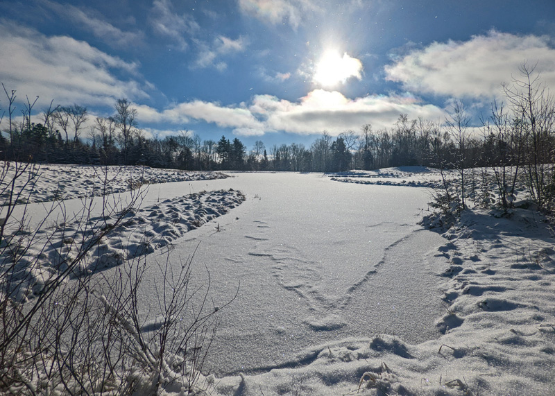 Frozen, snow-covered pond, trees, clouds and morning sun beyond.