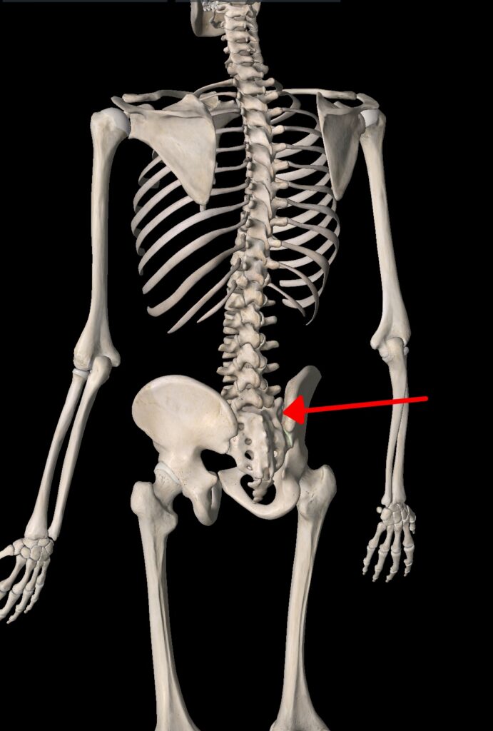 3D skeletal model highlighting the sacroiliac joint with an arrow indicating the area of interest.